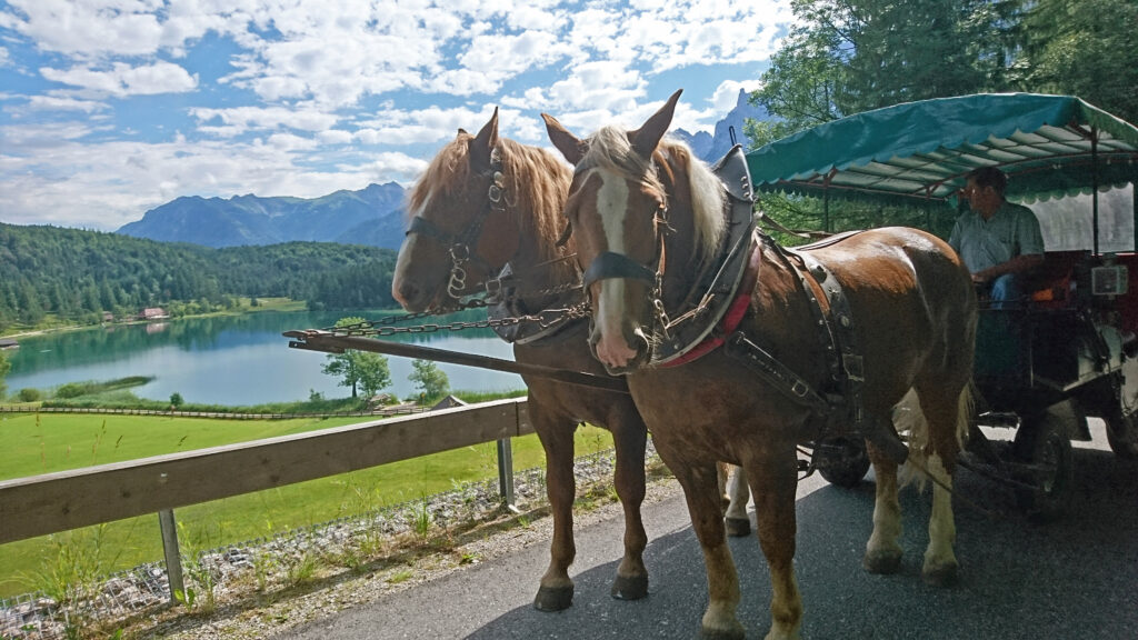 Pferdekutsche mit Blick auf den Lautersee